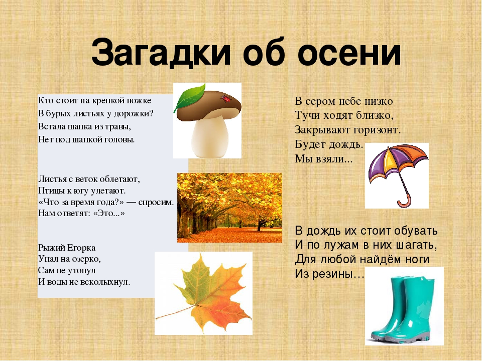 Загадки про листья с ответами для 3 класса: Загадки про листья для детей с ответами