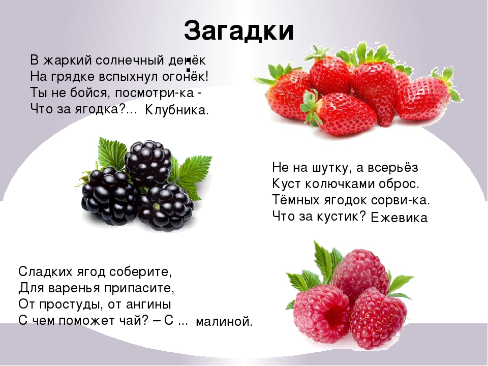 Загадки стихи: Загадки - Загадки обо всем на свете