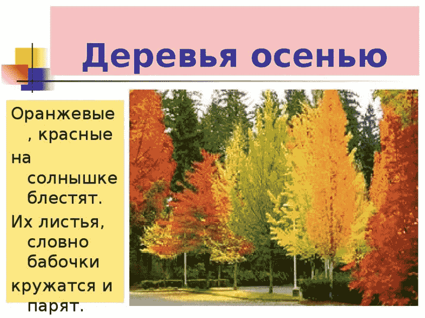 Загадки на тему осень для 3 класса: Загадки про осень для дошкольников и школьников с ответами