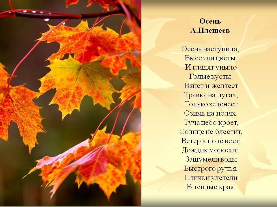 Стишок осень наступила высохли цветы: Осень наступила, высохли цветы — Плещеев. Полный текст стихотворения — Осень наступила, высохли цветы
