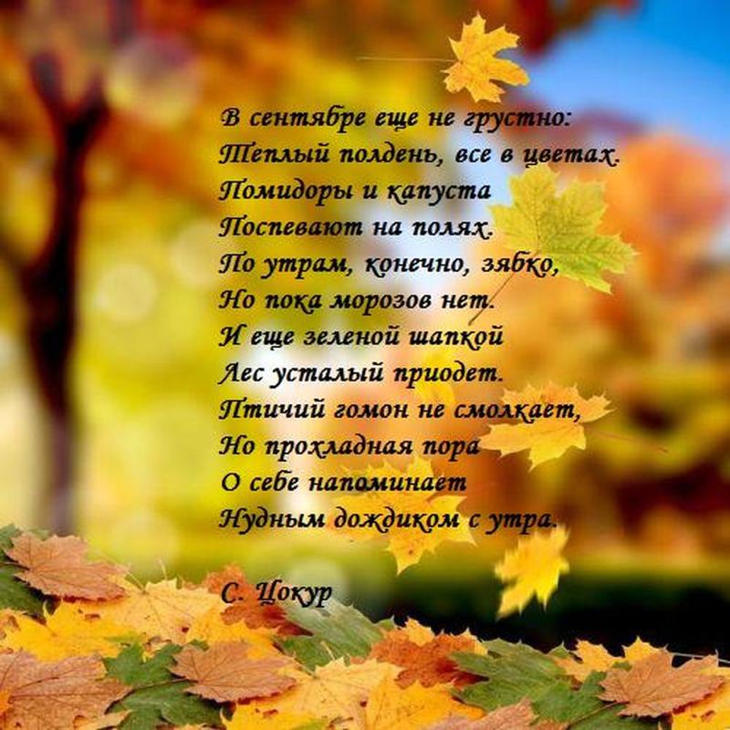 Стихи про осень для школьников 2 класса короткие: Стихи про осень для 2 класса