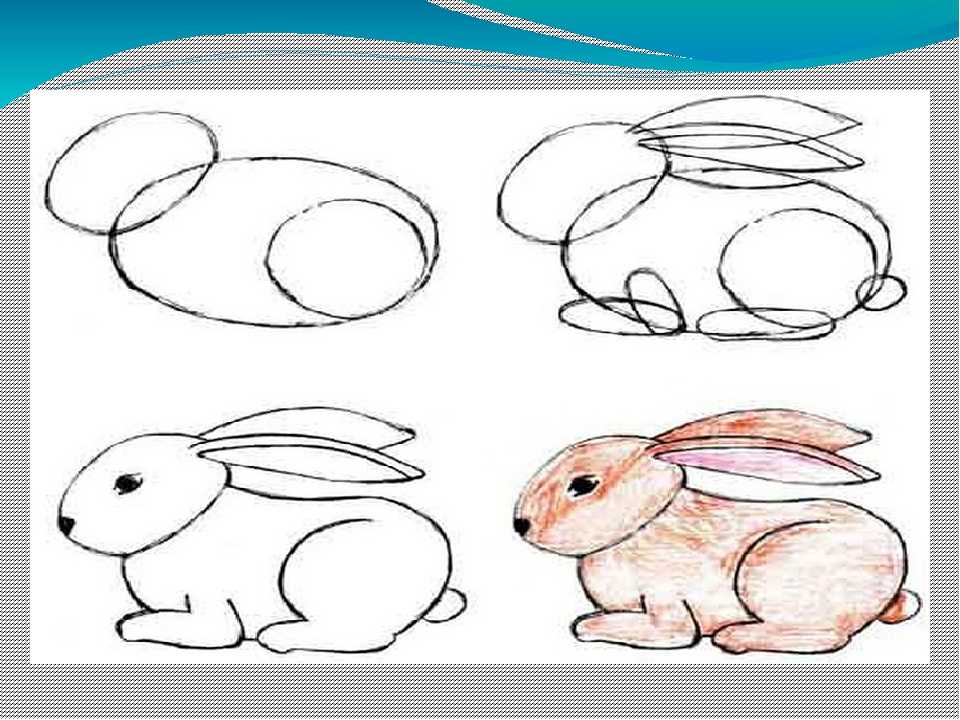 Как нарисовать зайца поэтапно: Как нарисовать зайца поэтапно 10 уроков