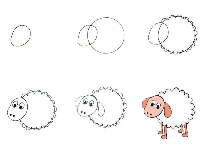 Как нарисовать барашка карандашом поэтапно для детей: Как нарисовать милого барашка ребенку карандашами поэтапно