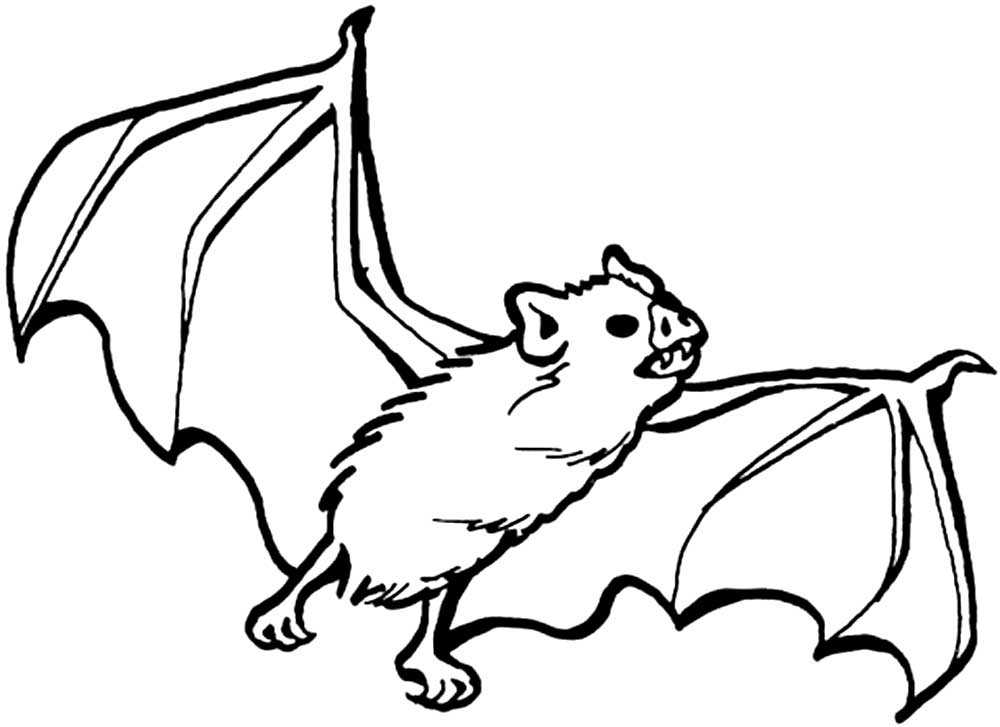Летучая мышь раскраска: Раскраска Летучая Мышь Скачать И Распечатать