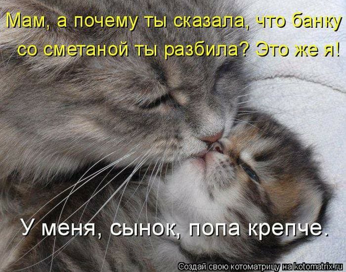 Есть мама у котенка есть мама у тигренка слова: Песни про маму - Есть мама у котенка текст песни