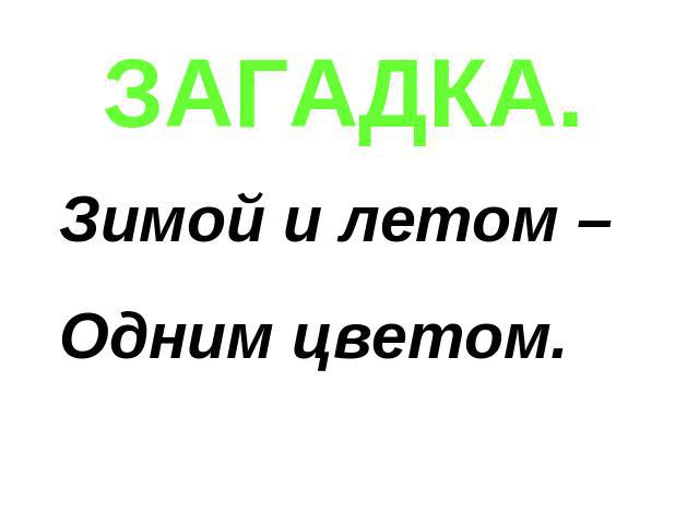 Зимой и летом одним цветом ответ: Зимой и летом одним цветом?