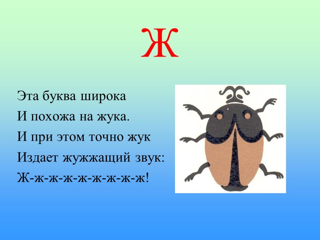 Загадка не жужжу когда сижу не жужжу когда хожу не жужжу когда тружусь: Не жужжу, когда сижу — загадка для детей с ответом