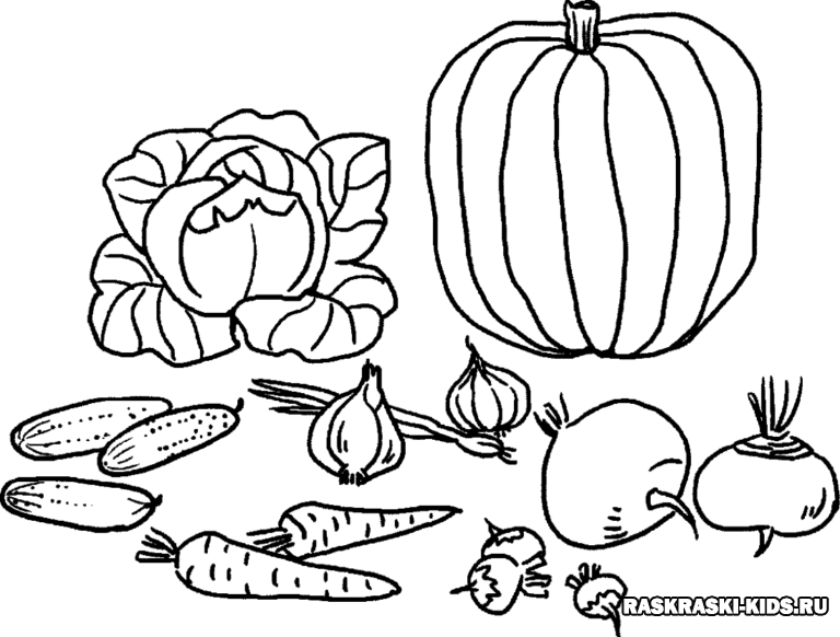Картинка раскраска овощи и фрукты для детей: Раскраски овощи и фрукты (150 раскрасок)