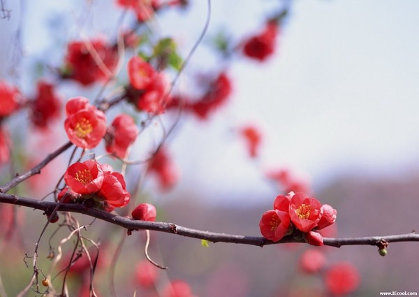 Красна весна цветами а: Весна красна цветами, а осень — плодами