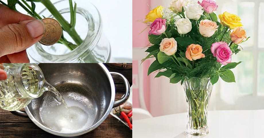 Как дольше сохранить хризантемы в вазе с водой: Как дольше сохранить букет хризантем в вазе