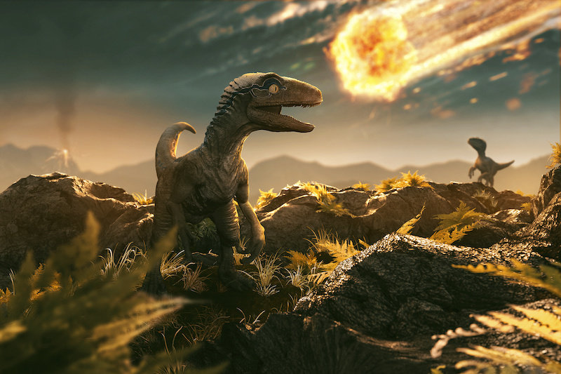 Динозавры как умерли: Ученые назвали окончательную причину вымирания динозавров – Москва 24, 03.03.2021
