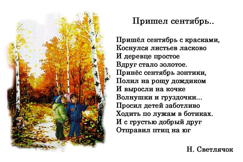 Стихи осень в лесу для детей: Стихи про осенний лес - читать