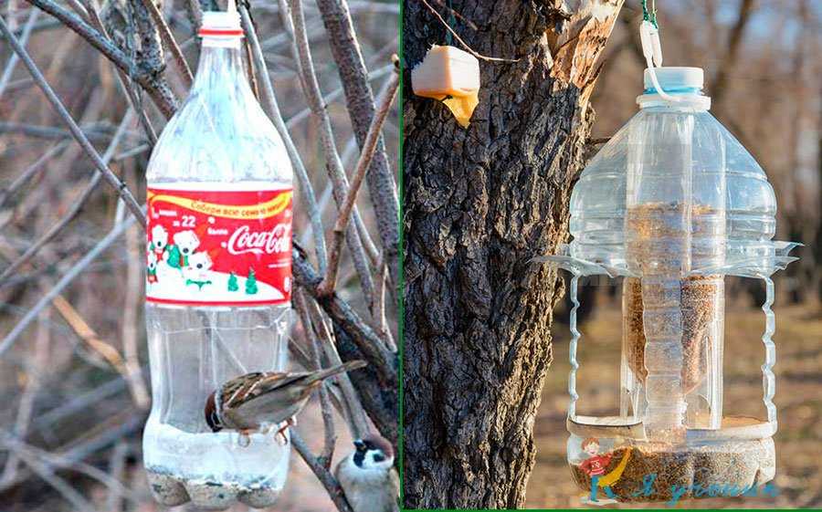 Кормушка для птиц из пластиковой бутылки своими руками фото: оригинальные идеи и их фото