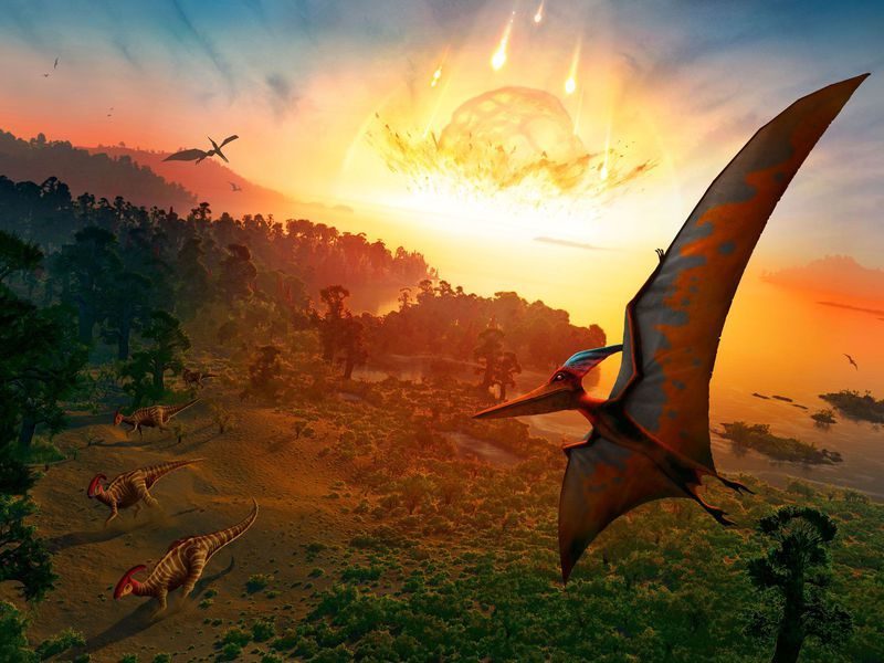 Как вымерли динозавры: Динозавры вымерли из-за падения астероида. Ученые нашли ногу динозавра, который, вероятно, пал в числе первых
