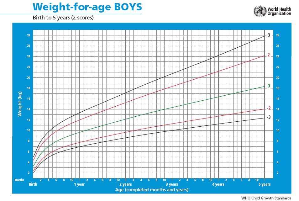 Нормы веса и роста детей до 3: Нормы роста и веса детей с рождения и до 3-х лет согласно ВОЗ: мальчики и девочки