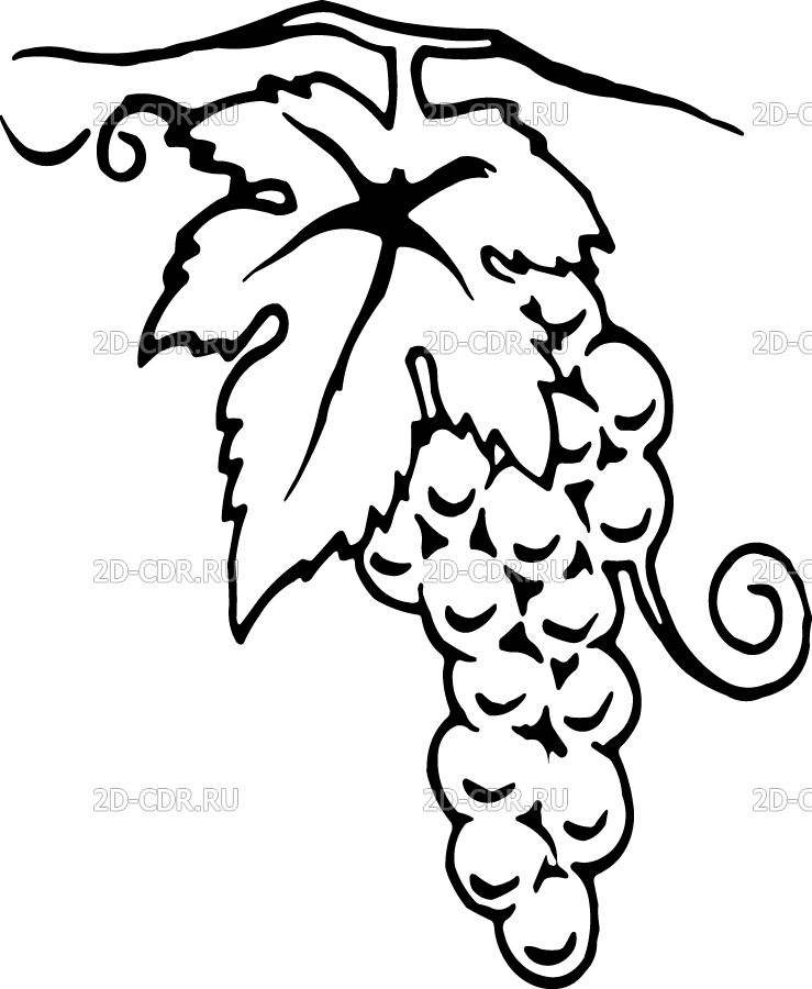 Лист винограда раскраска: Раскраска Виноград - детские раскраски распечатать бесплатно