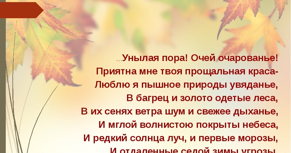 Праздник прощание с осенью: Сценарий " Прощание с осенью"