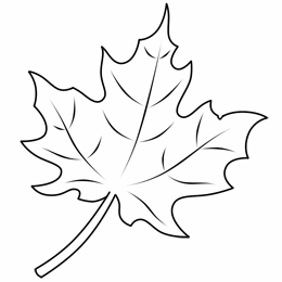 Рисуем с помощью листьев деревьев: Отпечатки листьев на бумаге