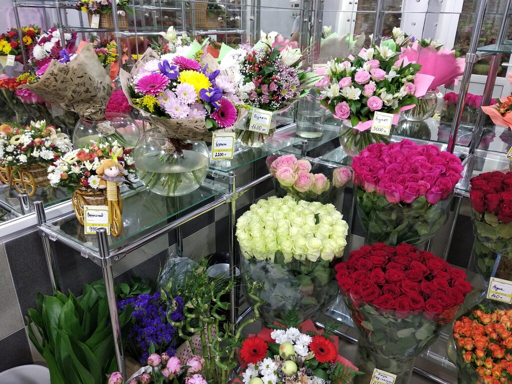 Какие цветы стоят дольше: ТОП-10 цветов которые стоят дольше