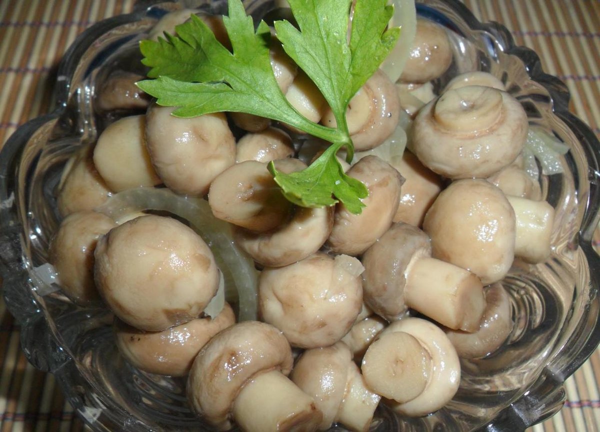 Грибы маринованные как есть: Как есть маринованные и жареные маслята и как их правильно приготовить