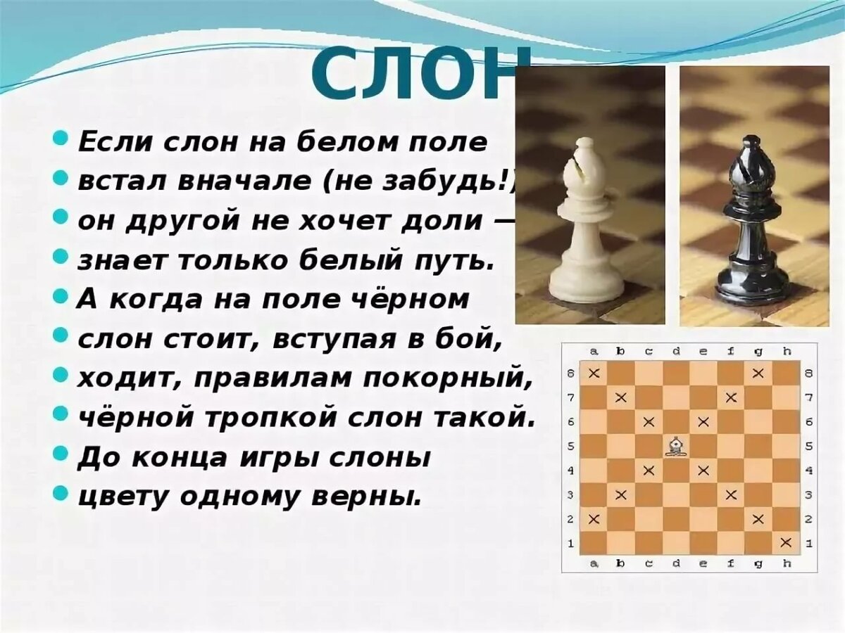 Рассказ про слона шахматы. Как ходят шахматные фигуры. Фигуры в шахматах. Стих про шахматного слона.