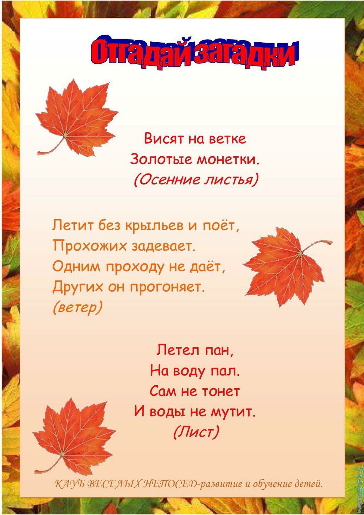 Стихи про осень для школьников 1 класса: Красивые, интересные стихи про осень на конкурс чтецов для детей