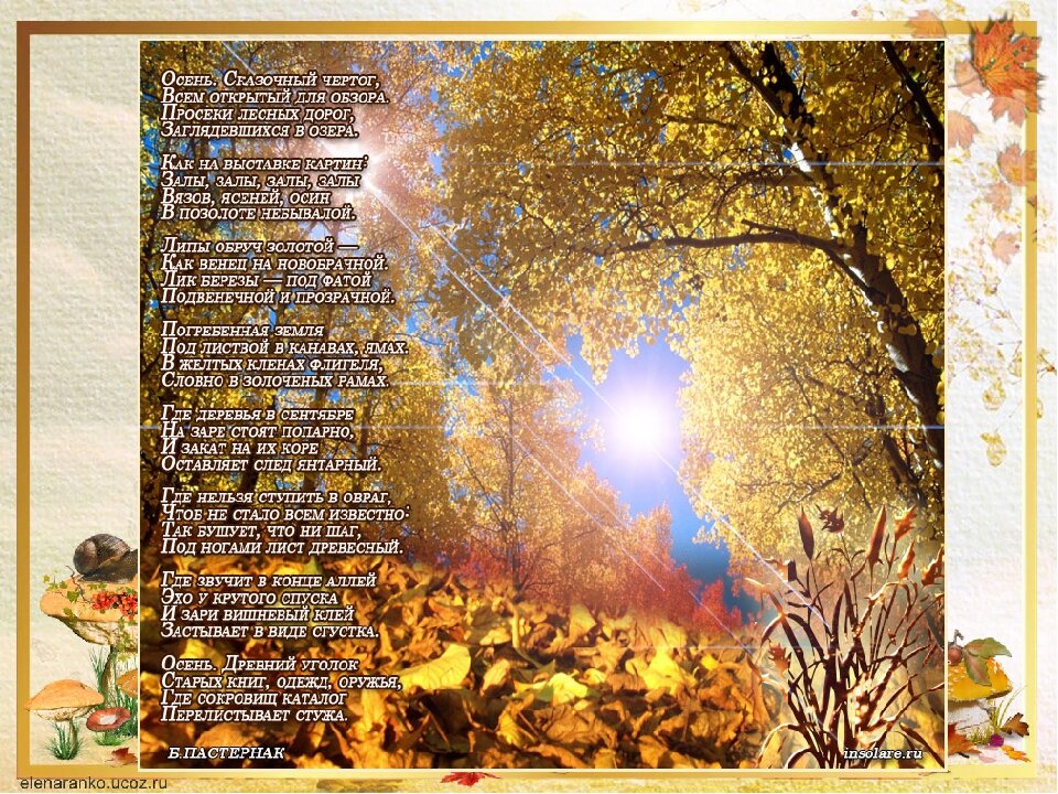 Красивые стихи о осени для детей: Страница не найдена - Официальный сайт конкурсов