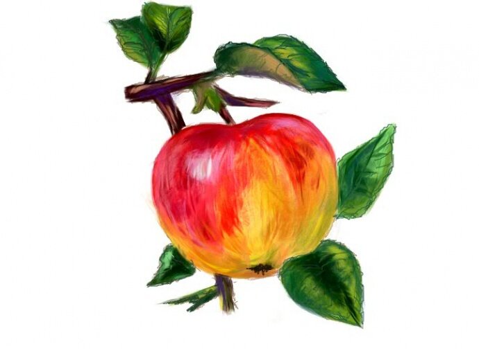 Яблоко картинки для детей нарисованные: Картинки d1 8f d0 b1 d0 bb d0 be d0 ba d0 be d0 bd d0 b0 d1 80 d0 b8 d1 81 d0 be d0 b2 d0 b0 d0 bd d0 bd d0 be d0 b5, Стоковые Фотографии и Роялти-Фри Изображения d1 8f d0 b1 d0 bb d0 be d0 ba d0 be d0 bd d0 b0 d1 80 d0 b8 d1 81 d0 be d0 b2 d0 b0 d0 bd d0 bd d0 be d0 b5