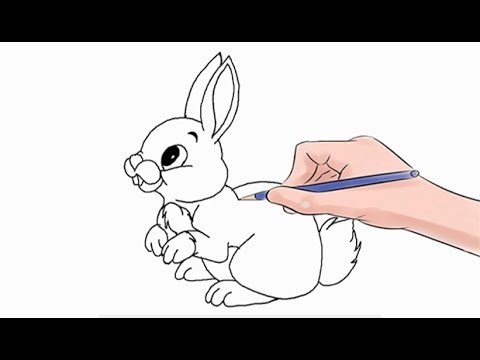 Как пошагово нарисовать зайчика: Как нарисовать зайца поэтапно 10 уроков