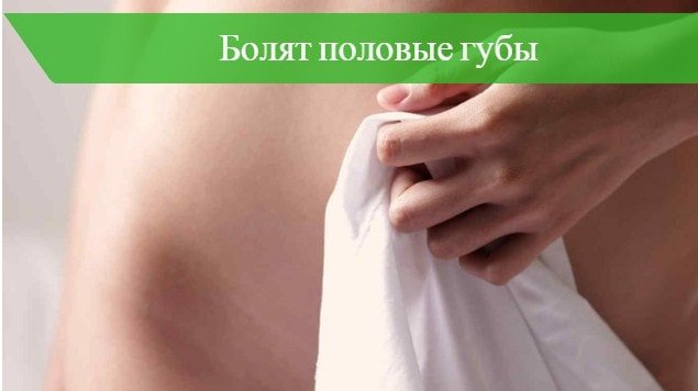 Белый налет на половых губах при беременности: Белый налет на половых губах