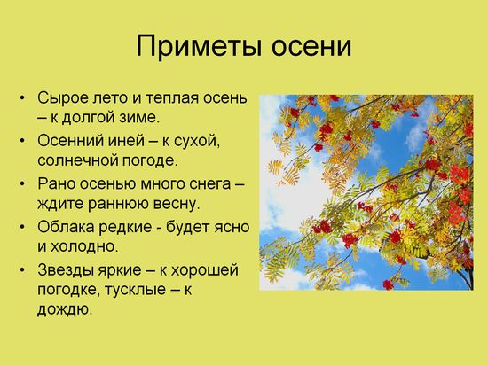 Загадки про времена года для школьников 2 класса с ответами: Загадки про времена года с ответами для детей