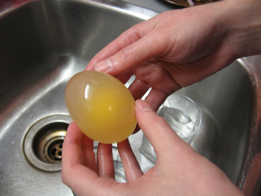Опыты с яйцом: Опыт с резиновым яйцом для детей 3-7 лет в домашних условиях