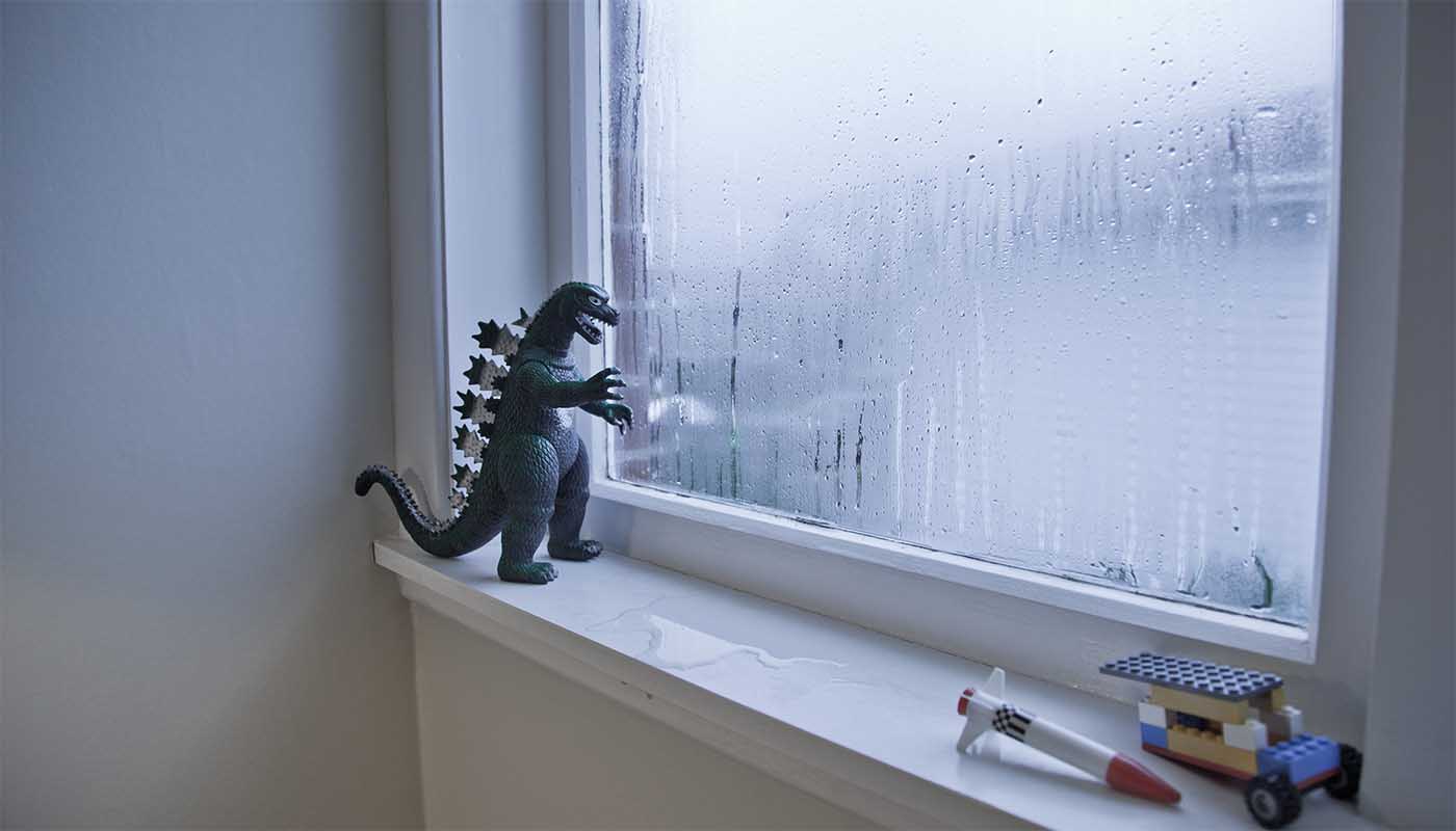 Как понизить влажность в доме: ✅ Как понизить влажность в помещении дома