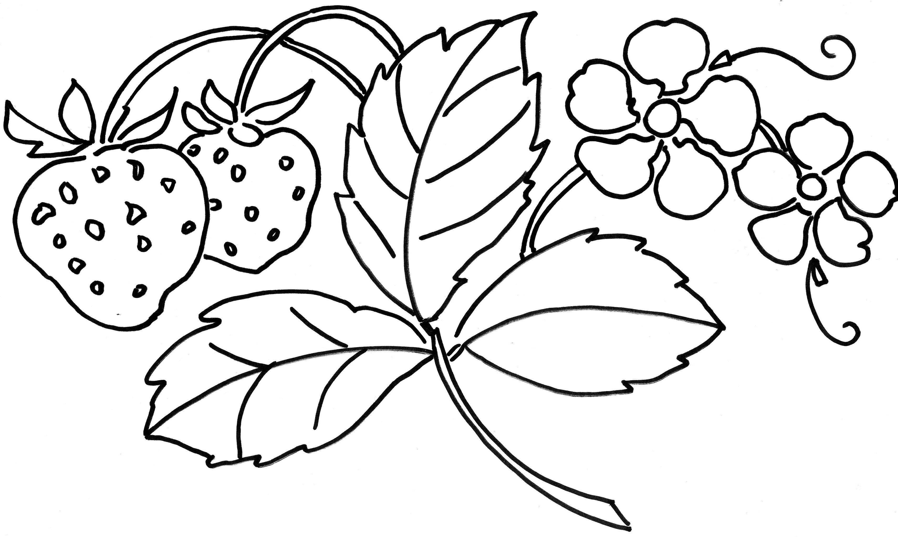 Картинки раскраски для детей ягоды: Раскраска ягоды скачать и распечатать