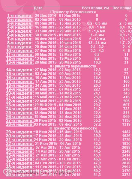 15 неделя беременности это сколько месяцев: что происходит с малышом и мамой, сколько это месяцев, ощущения и развитие на 15 акушерской неделе и 13 от зачатия