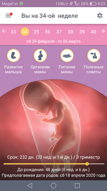 15 неделя беременности это сколько месяцев: что происходит с малышом и мамой, сколько это месяцев, ощущения и развитие на 15 акушерской неделе и 13 от зачатия