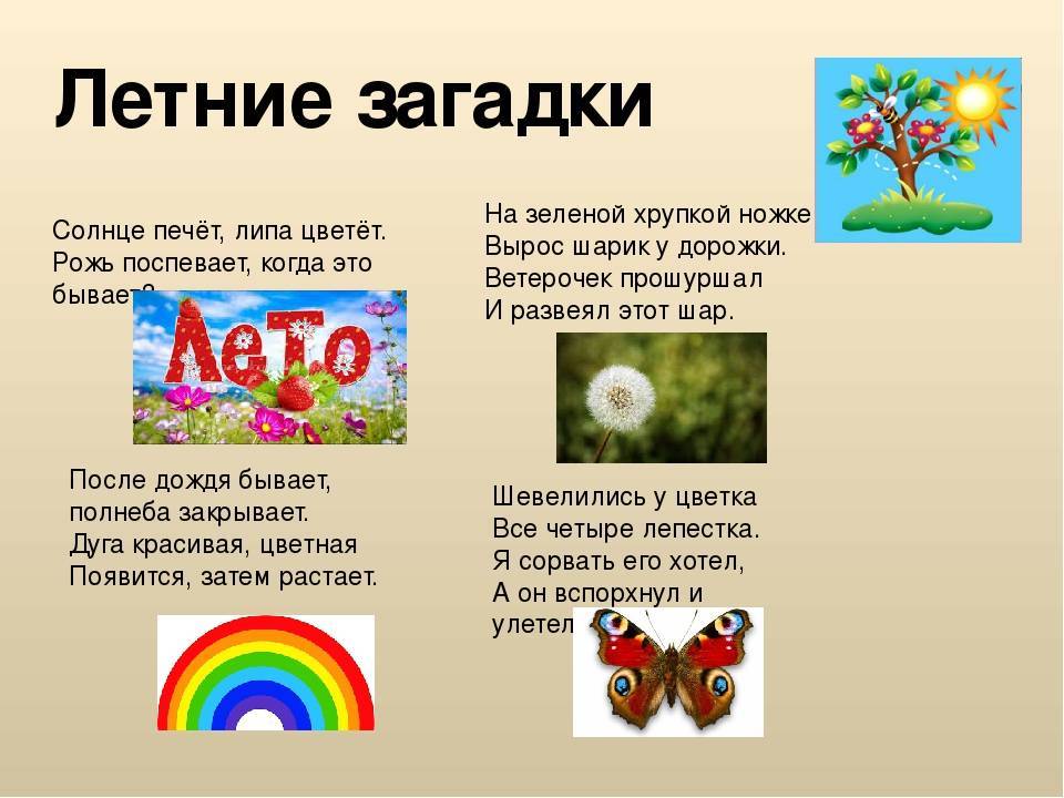 Загадки про времена года для школьников 2 класса с ответами: Загадки про времена года с ответами для детей