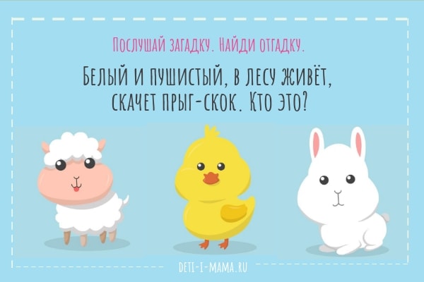 Загадки про животных для детей 3 лет: Загадки для детей 3 - 4 лет