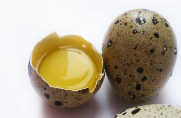 Перепелиное яйцо-настоящая кладовая питательных веществ