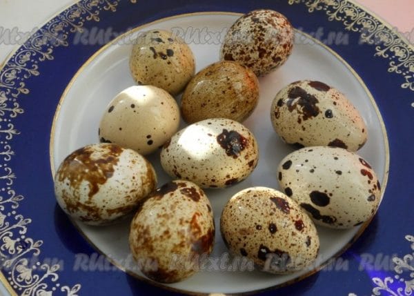 Нельзя употреблять в пищу яйца, которые хранились в холодильнике, а затем находились в условиях комнатной температуры более 2 часов