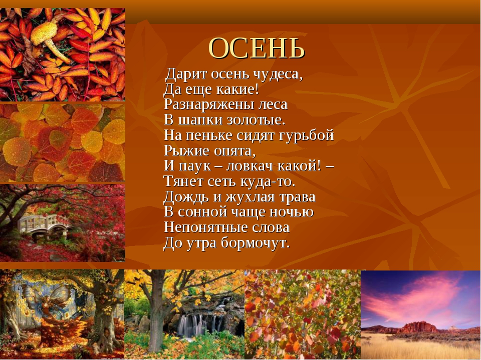 Стихи об осени легкие: Легкие стихи Пушкина про осень: полный список