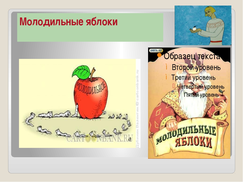 Молодильные яблоки в сокращении: Краткое содержание сказки О молодильных яблоках и живой воде