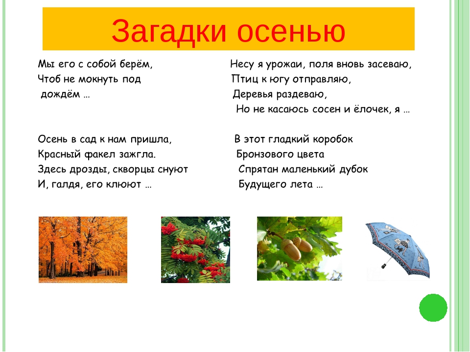 Загадки для детей 2 класса с ответами про осень: 52 загадки про деревья: изучаем растения с детьми