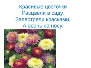 Красивые цветочки Расцвели в саду, Запестрели красками, А осень на носу. 