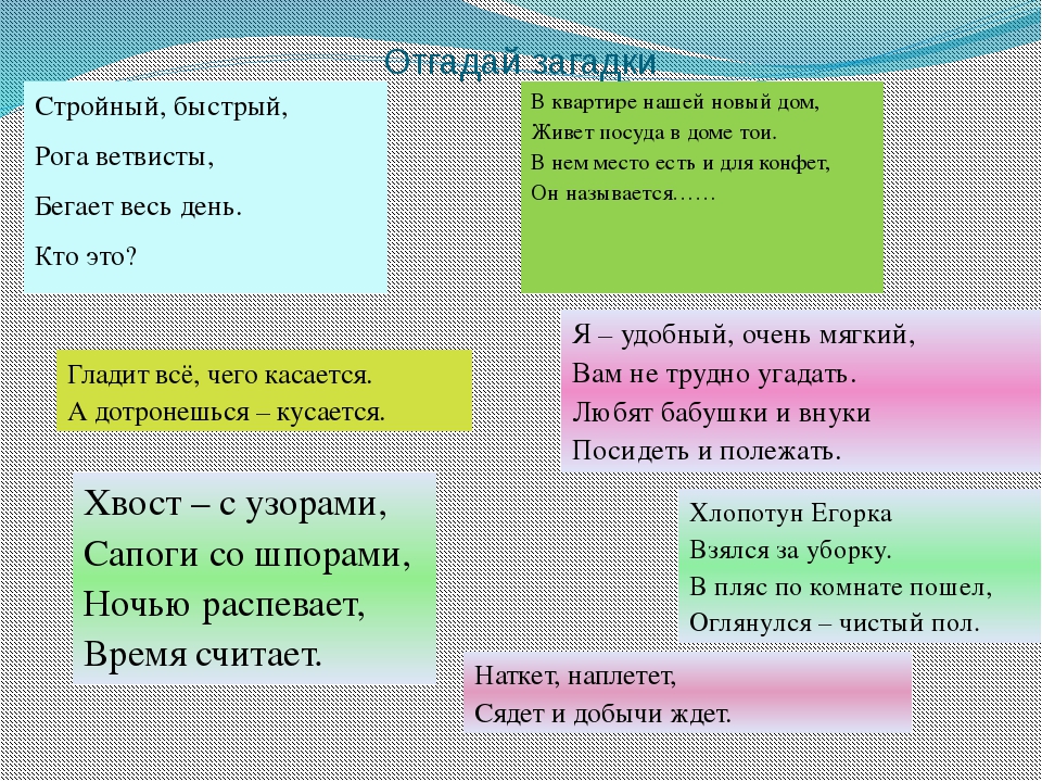 Наткет наплетет сядет и добычи ждет ответ: Загадка. Наткёт, наплетёт, сядет и добычи ждет. Кто это?