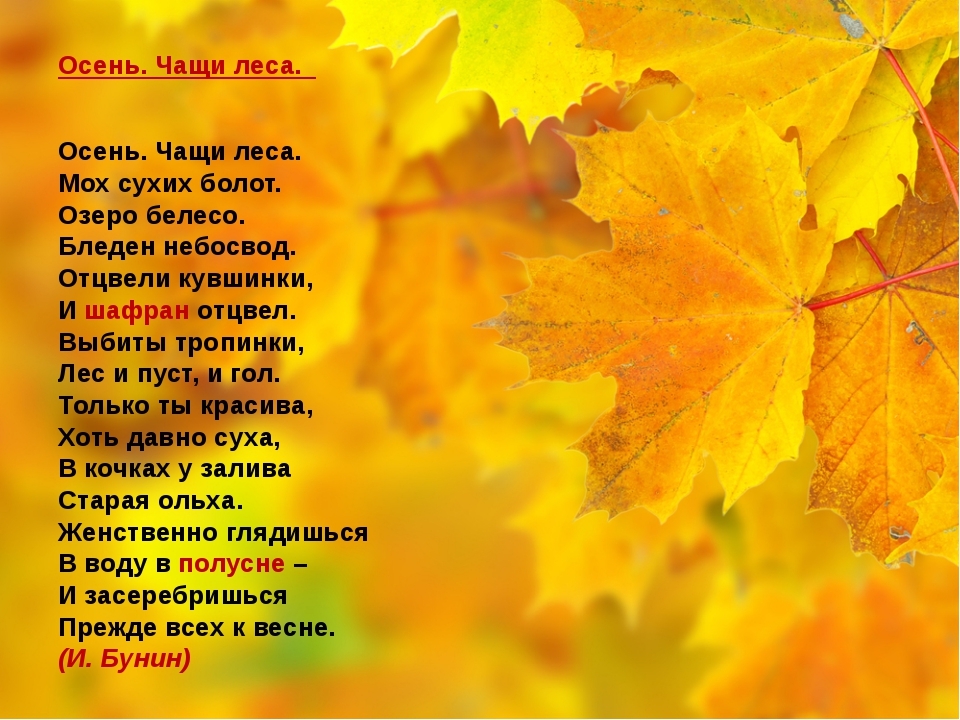 Стихи про осень 20 строк 4 класс: Красивые, лучшие стихотворения читать на РуСтих