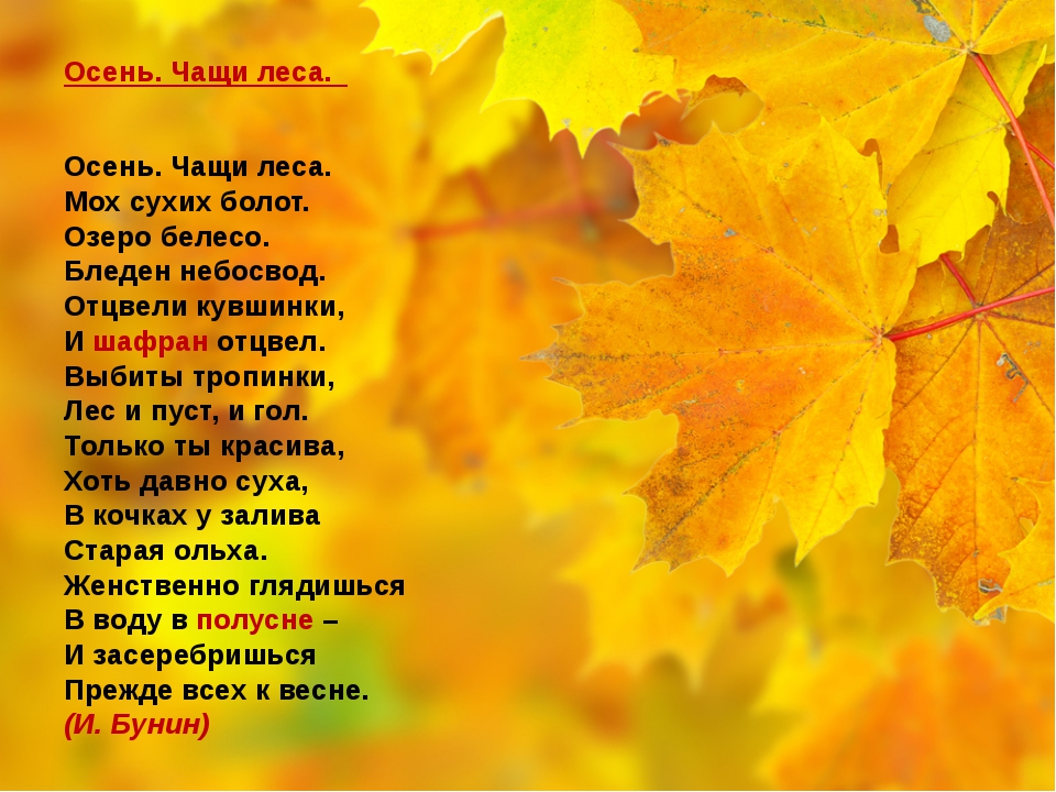 6 строчек стих про осень: Красивые, лучшие стихотворения читать на РуСтих