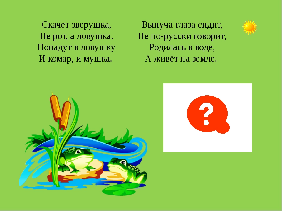 В лесу родилась в воде живет ответ: Ответы на кроссворды и сканворды онлайн