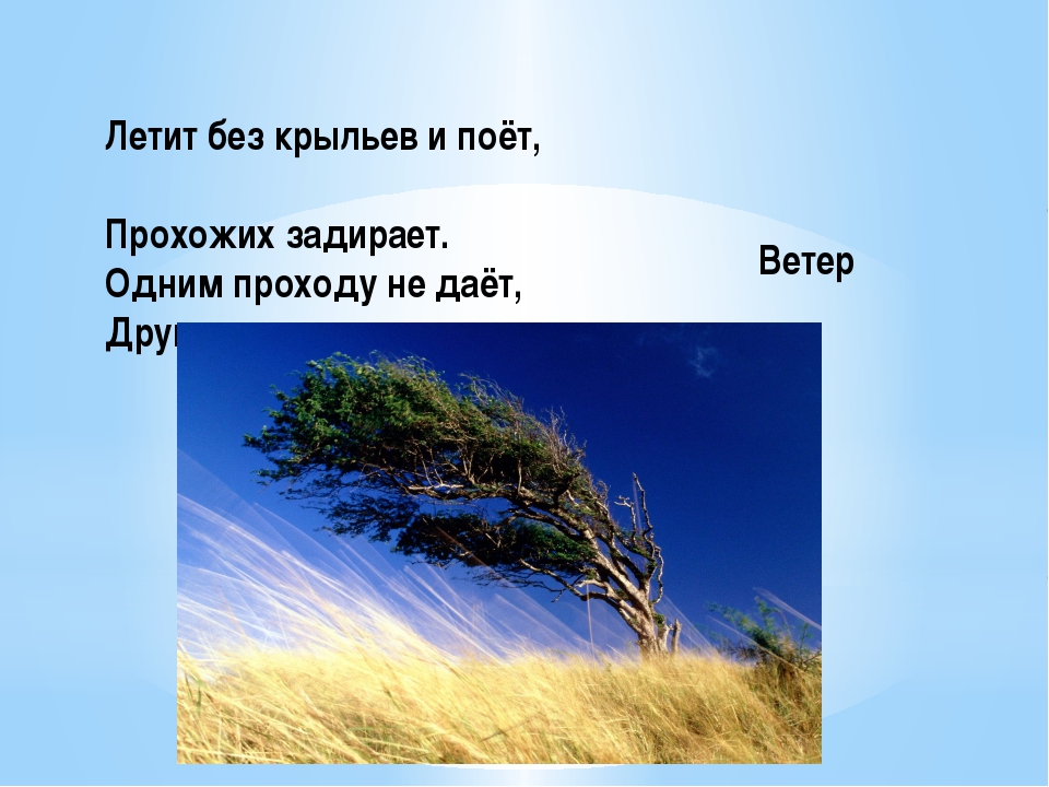 Летит без крыльев бежит без ног: «Без крыльев летят, без ног бегут, без паруса плывут» (загадка), 6 (шесть) букв