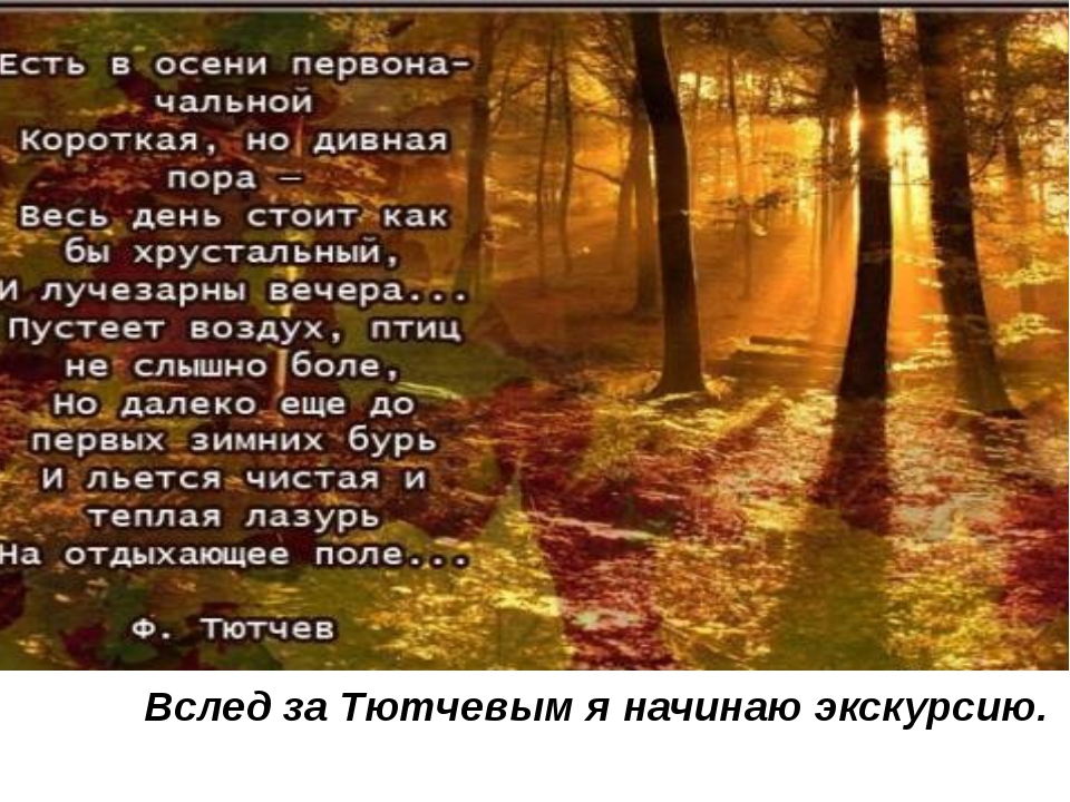 Стихи на осенний праздник: Страница не найдена — Блог Екатерины Манцуровой